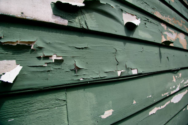 Best Brick Veneer Siding  in El Dorado Hills, CA
