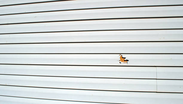 Siding for New Construction in El Dorado Hills, CA